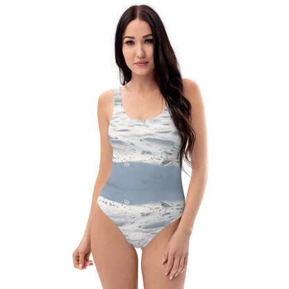 Piping Plover Swimsuit - Alfano Dry Goods